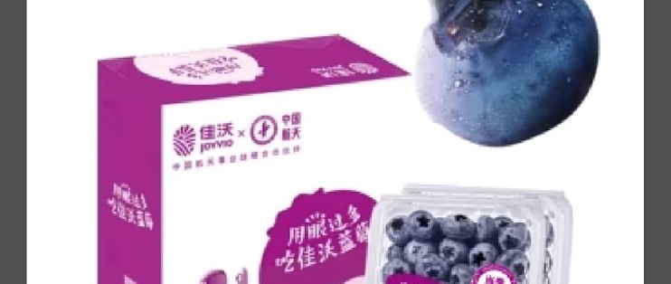 沒想到佳沃藍(lán)莓也這么好,以后就買它了