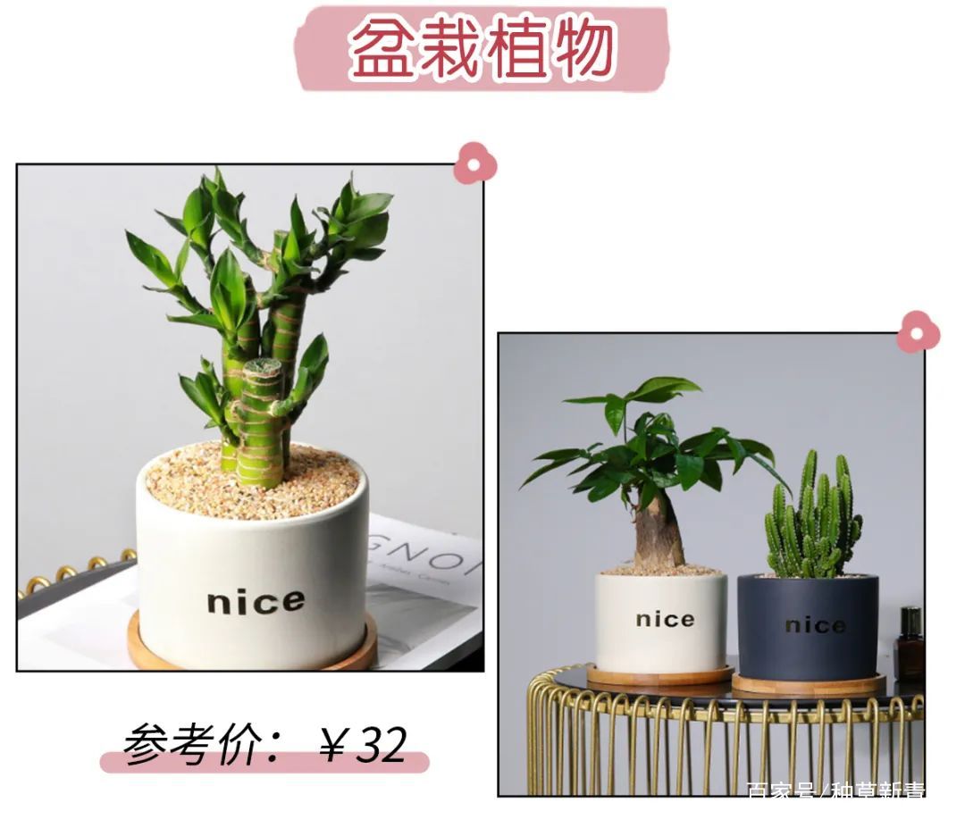 聚合全網(wǎng)資源,萬盤之王,好用到飛起!