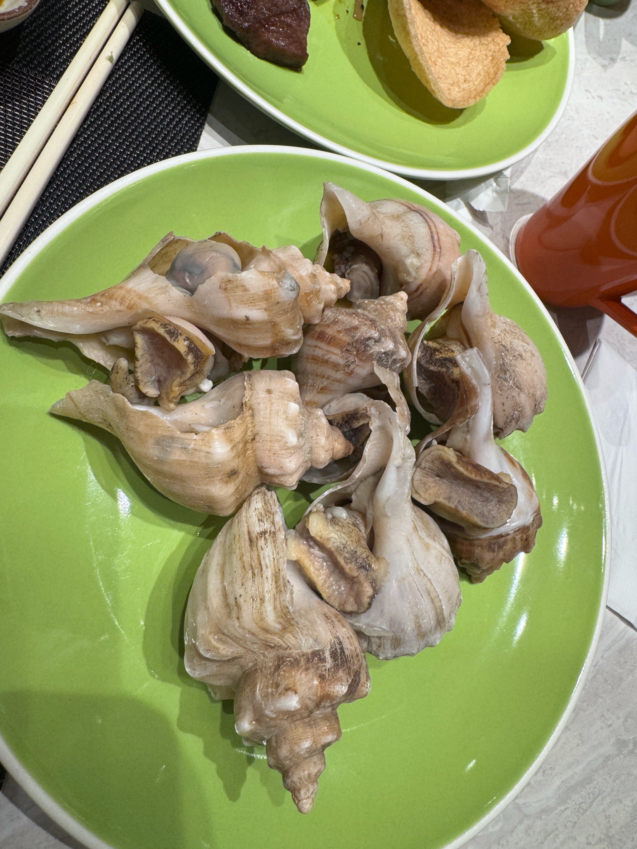 一起去吃海螺吧!價值百萬珠子唾手可得