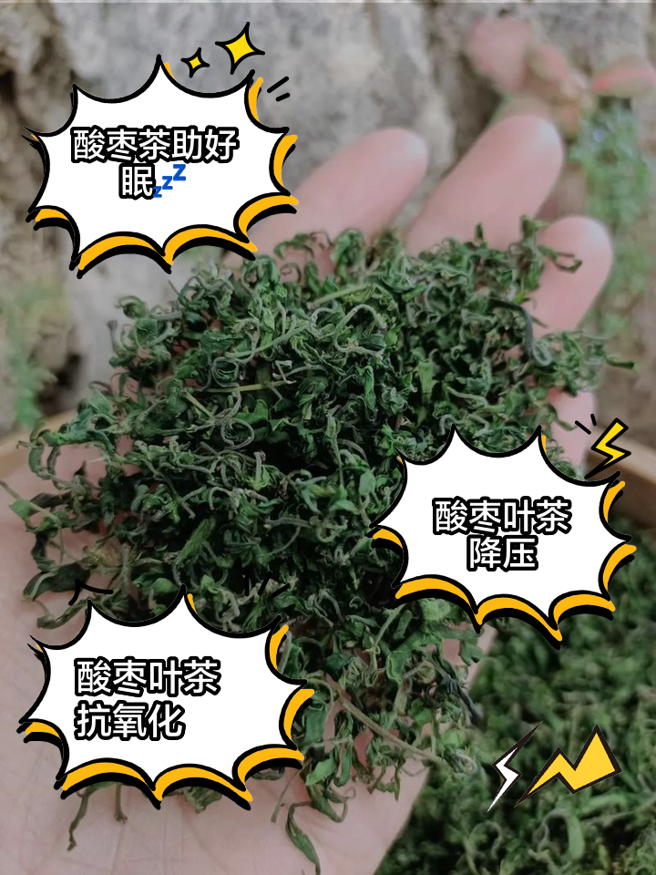 辦公室里的寶藏好物,新入手的酸棗葉茶