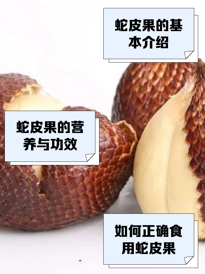蛇皮果的營養(yǎng)價值和食用技巧_新鮮水果