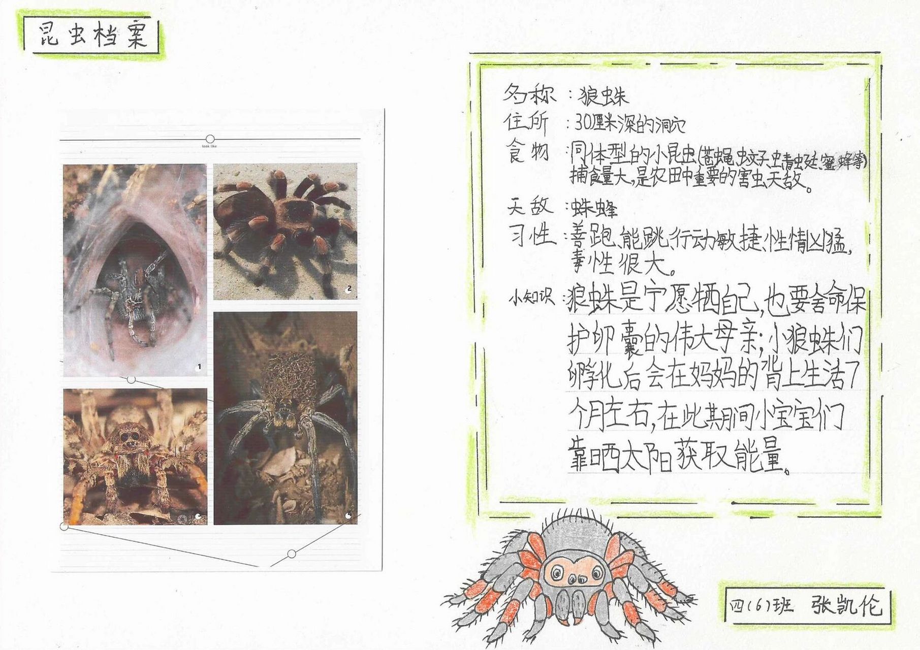 以鶴軒