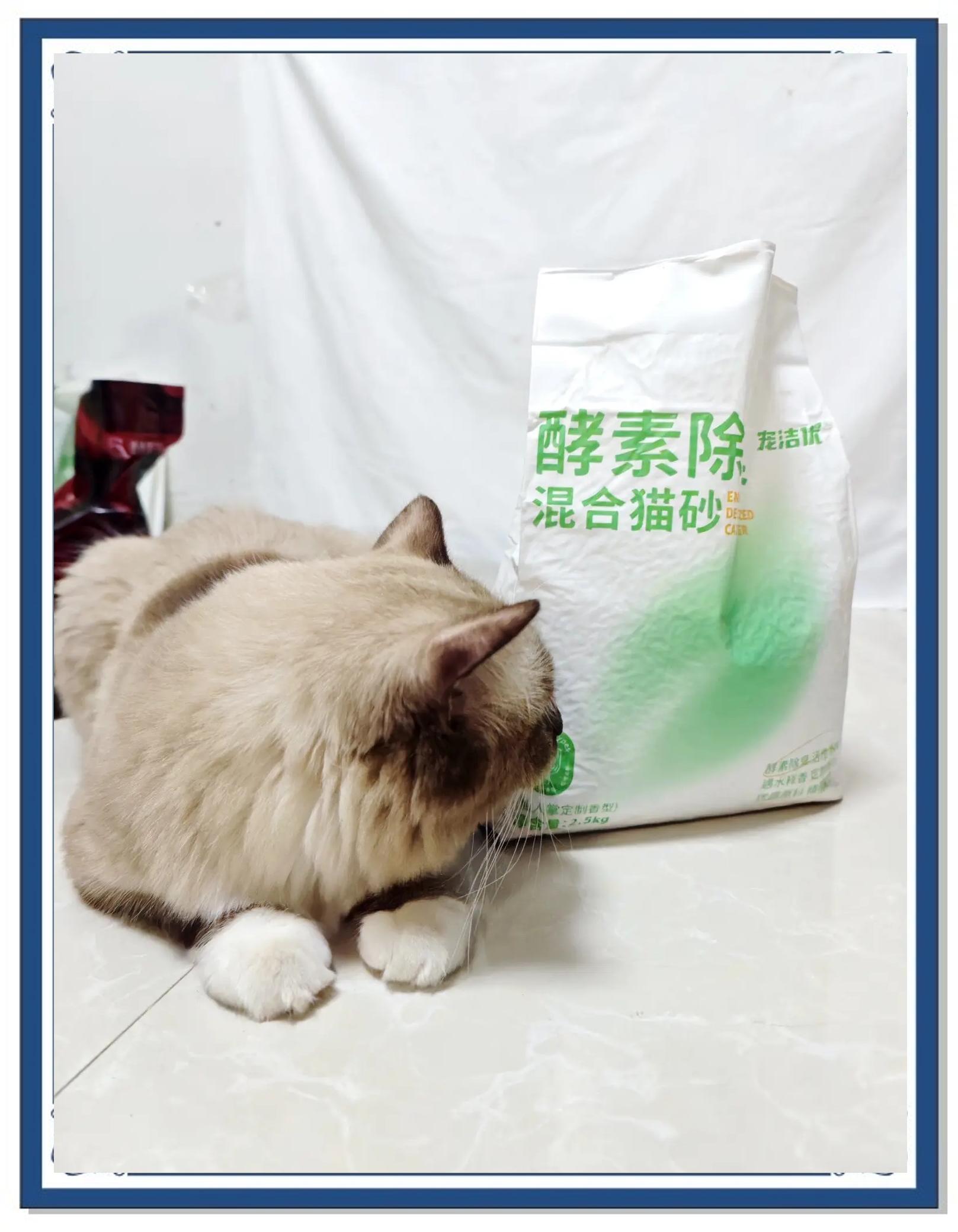 籍淳雅