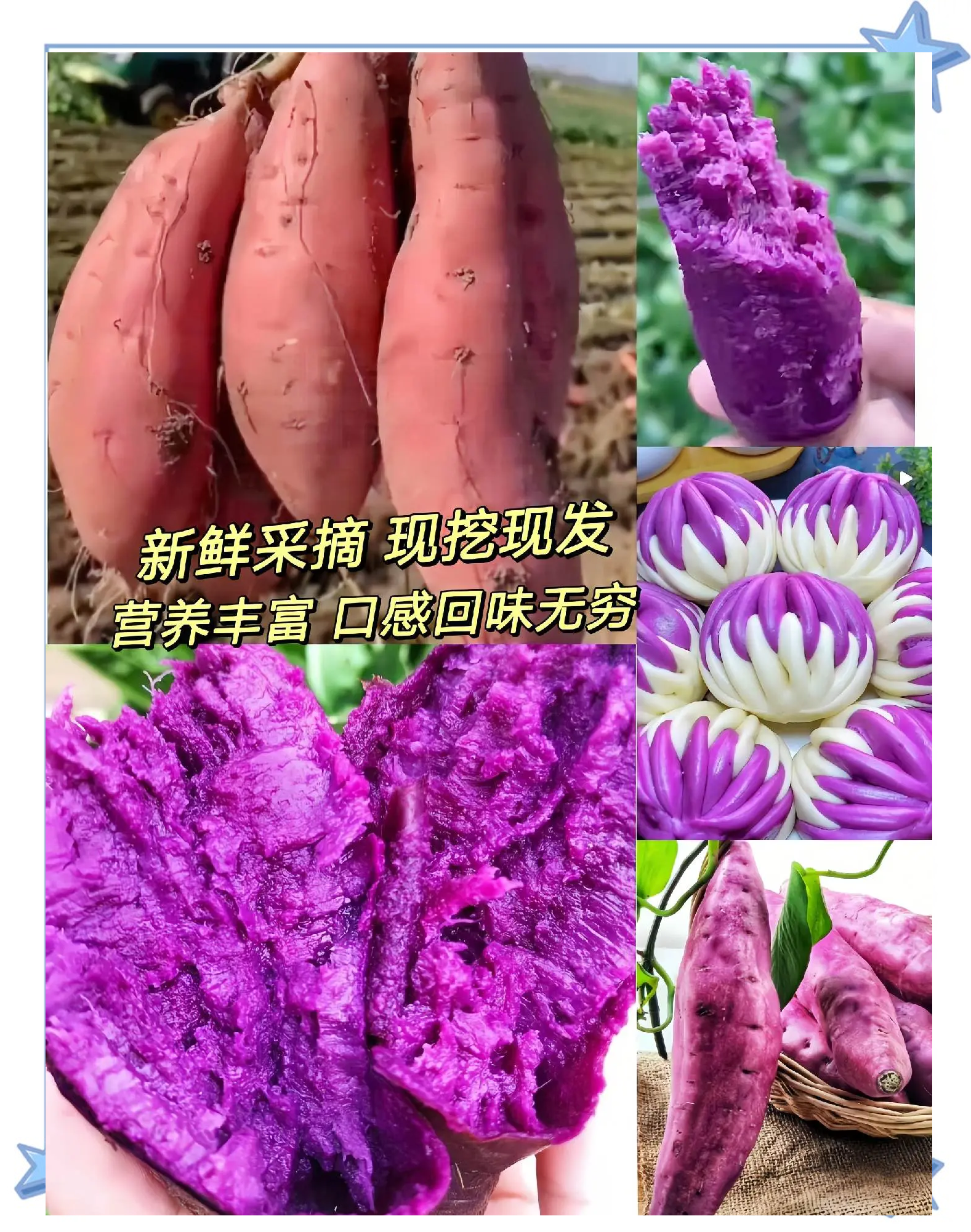 2025年4月28日 第34頁