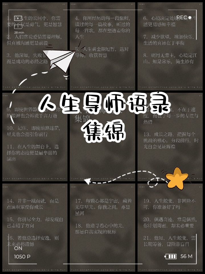 段永平:商界傳奇與人生導師_經(jīng)濟管理