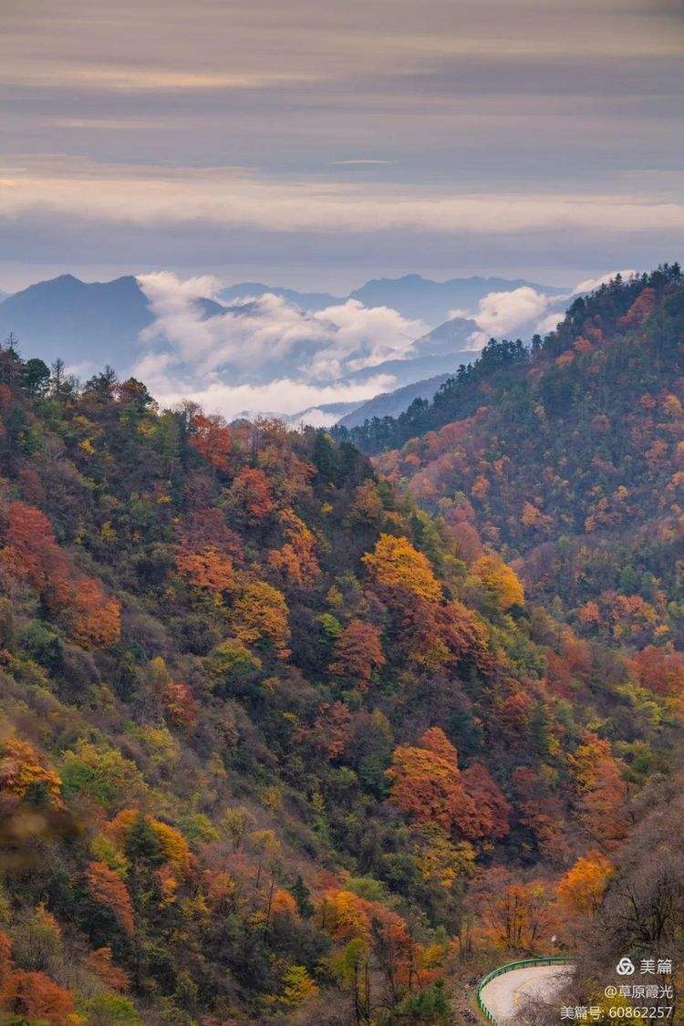 陜西紫柏山:翠綠仙境中的寧靜避暑勝地