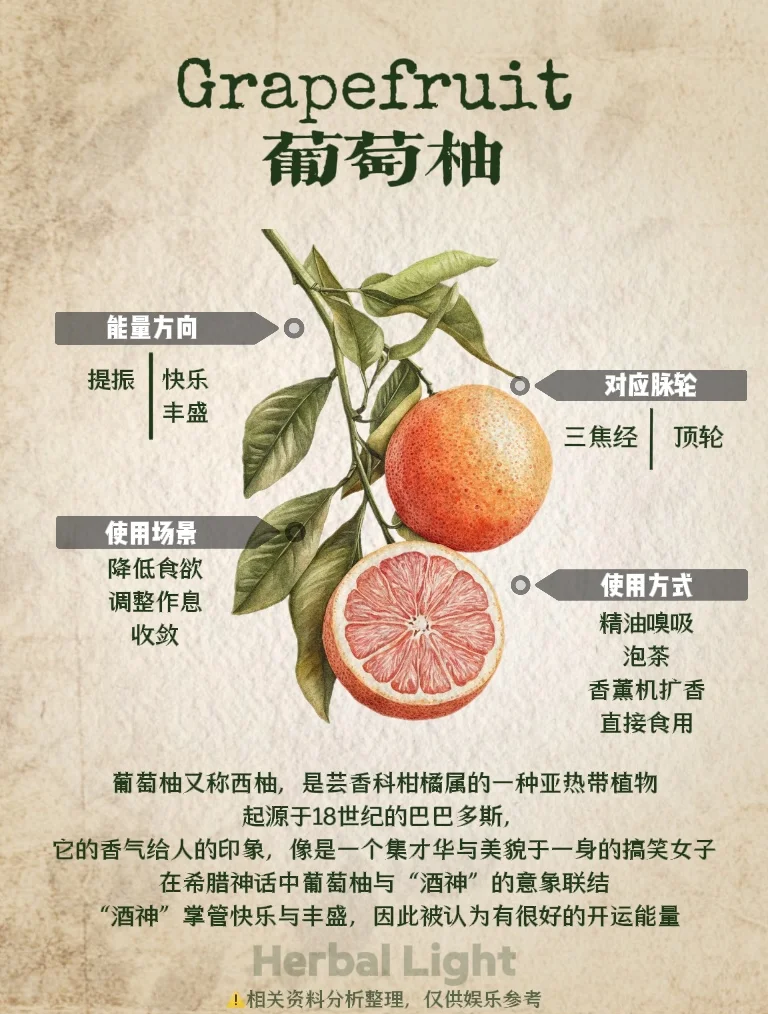 葡萄柚的功效與作用葡萄柚和西柚的區(qū)別