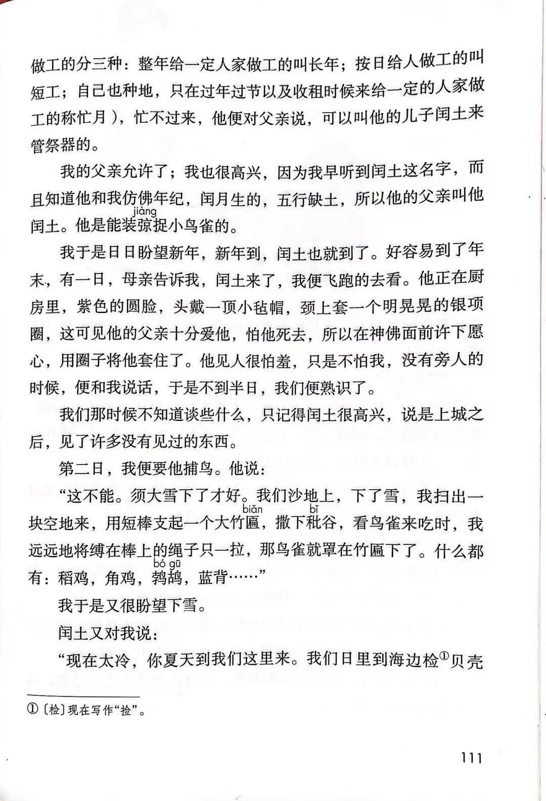 魯迅筆下的故鄉(xiāng),究竟有多美?_小說