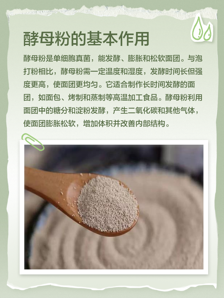 酵母粉是什么東西?酵母粉是干什么用的