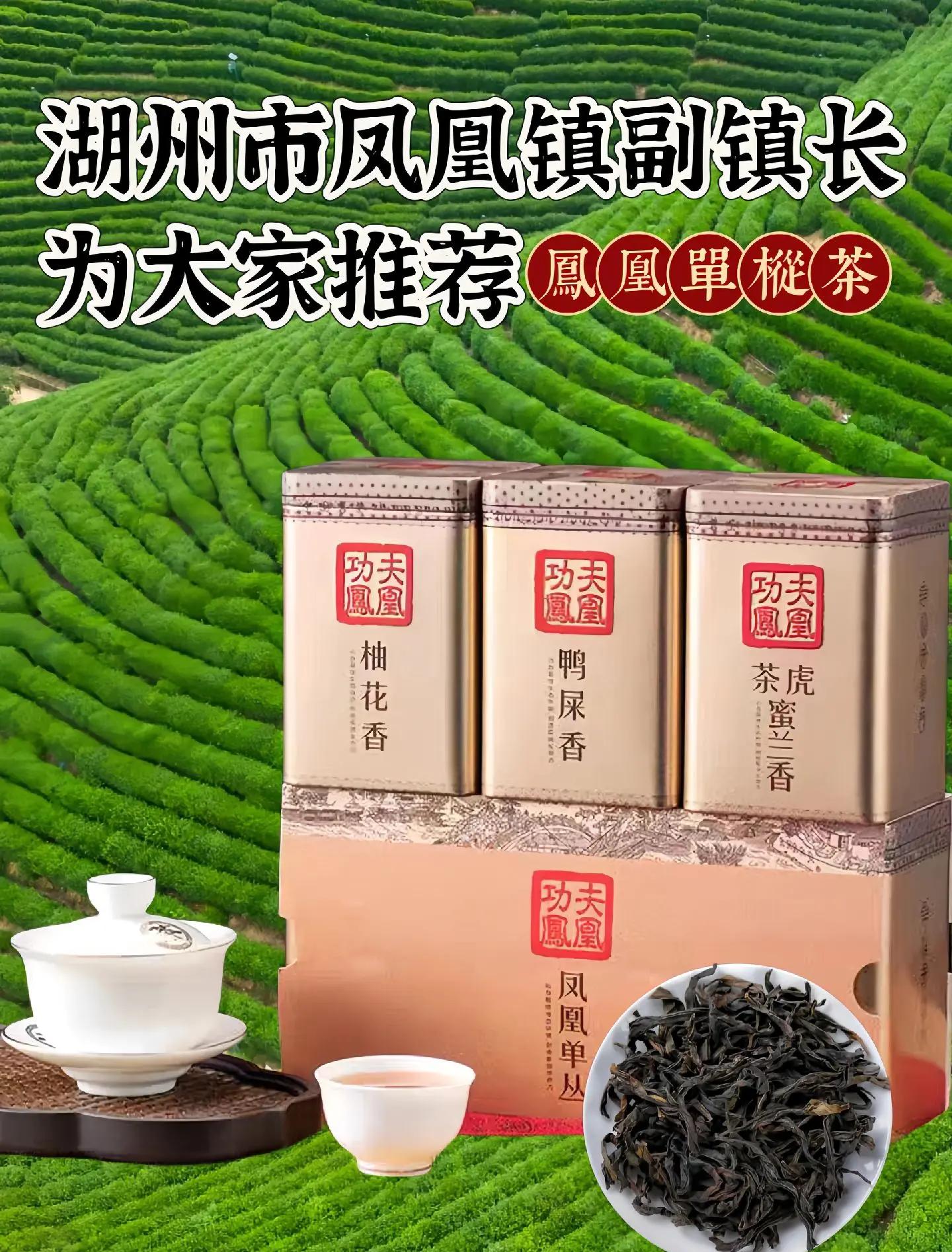 【茶葉測評】鳳凰單叢老仙翁_烏龍茶