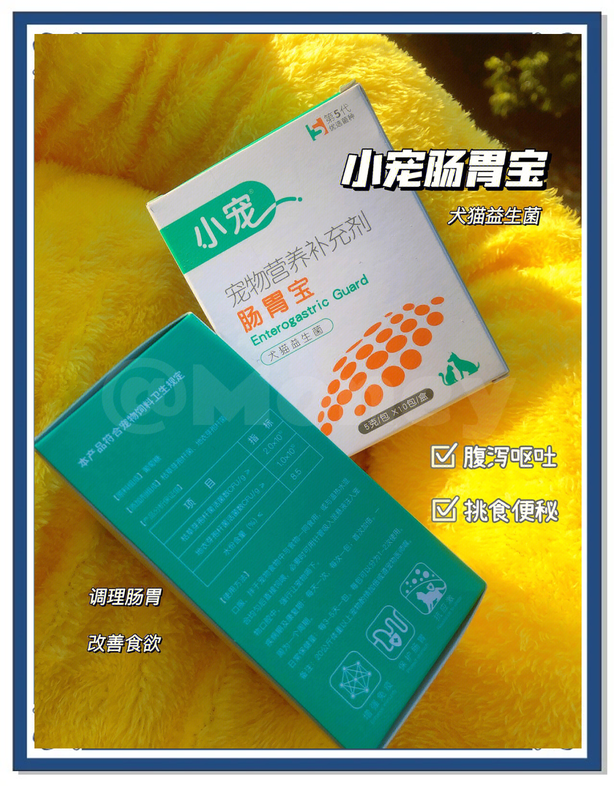 小寵寵物腸胃調理怎么樣兔子拉稀怎么辦