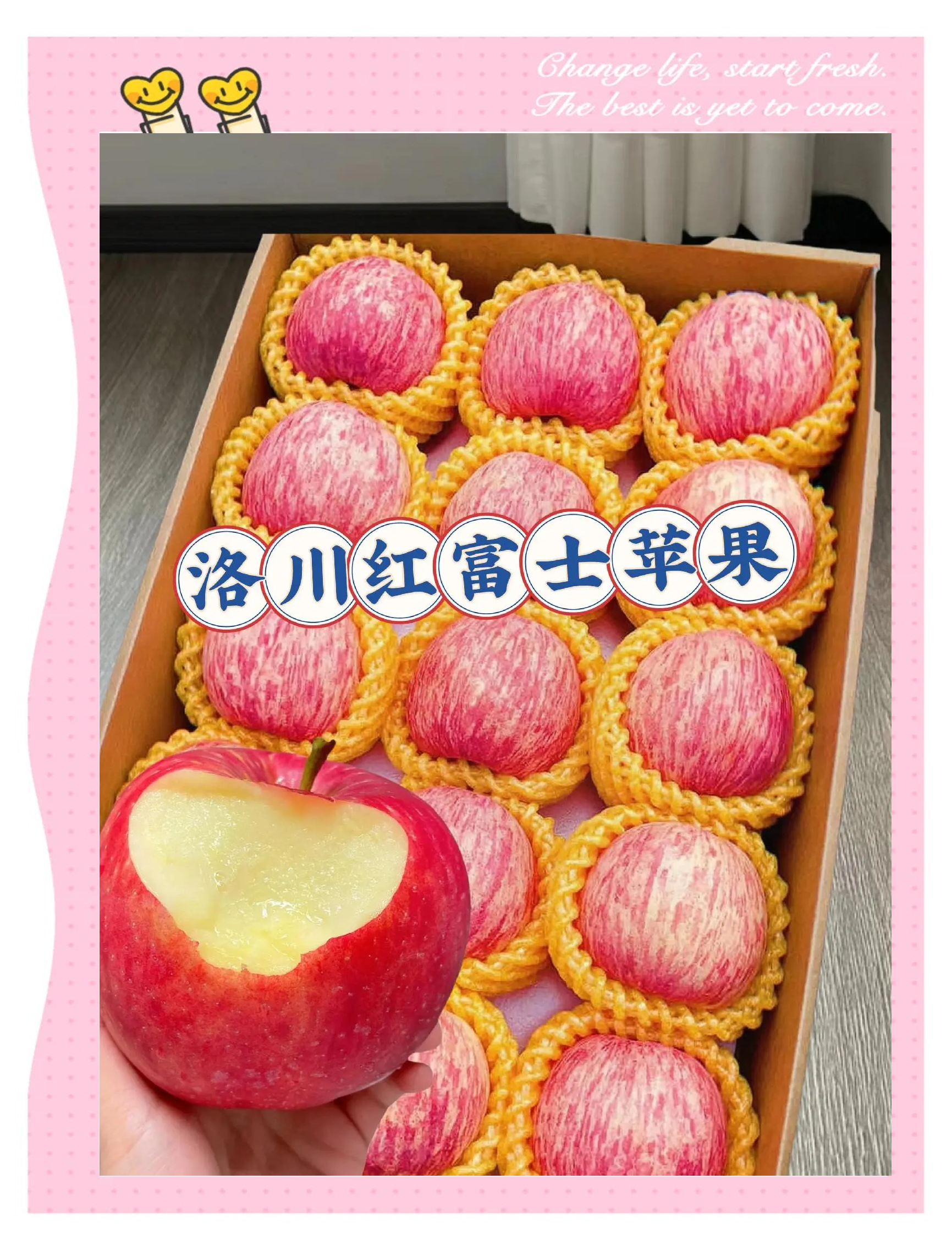 洛川蘋果:陜西時(shí)令水果新鮮甜脆_蘋果