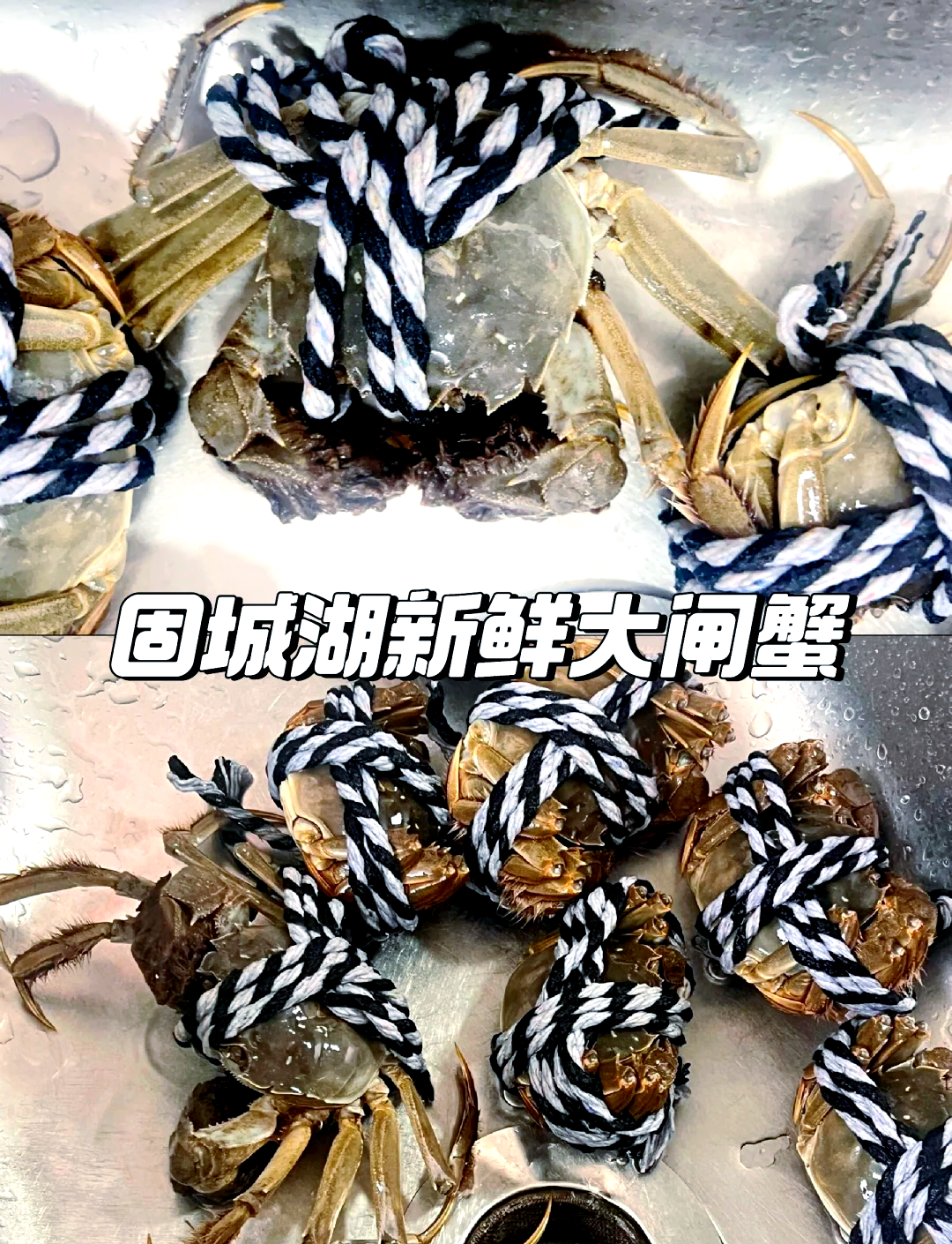 固城湖的螃蟹,小點便宜但是味道也不錯