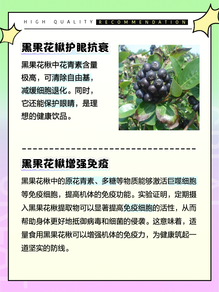 生活壓力大,就來點黑果花楸抗衰老養(yǎng)身