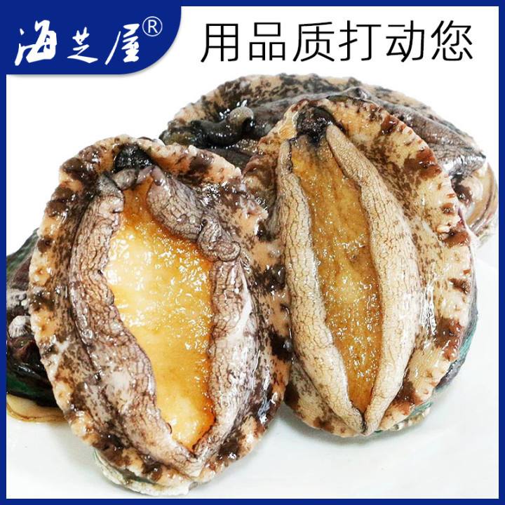 新鮮熟凍大鮑魚:鎖住鮮美的秘密_貝類