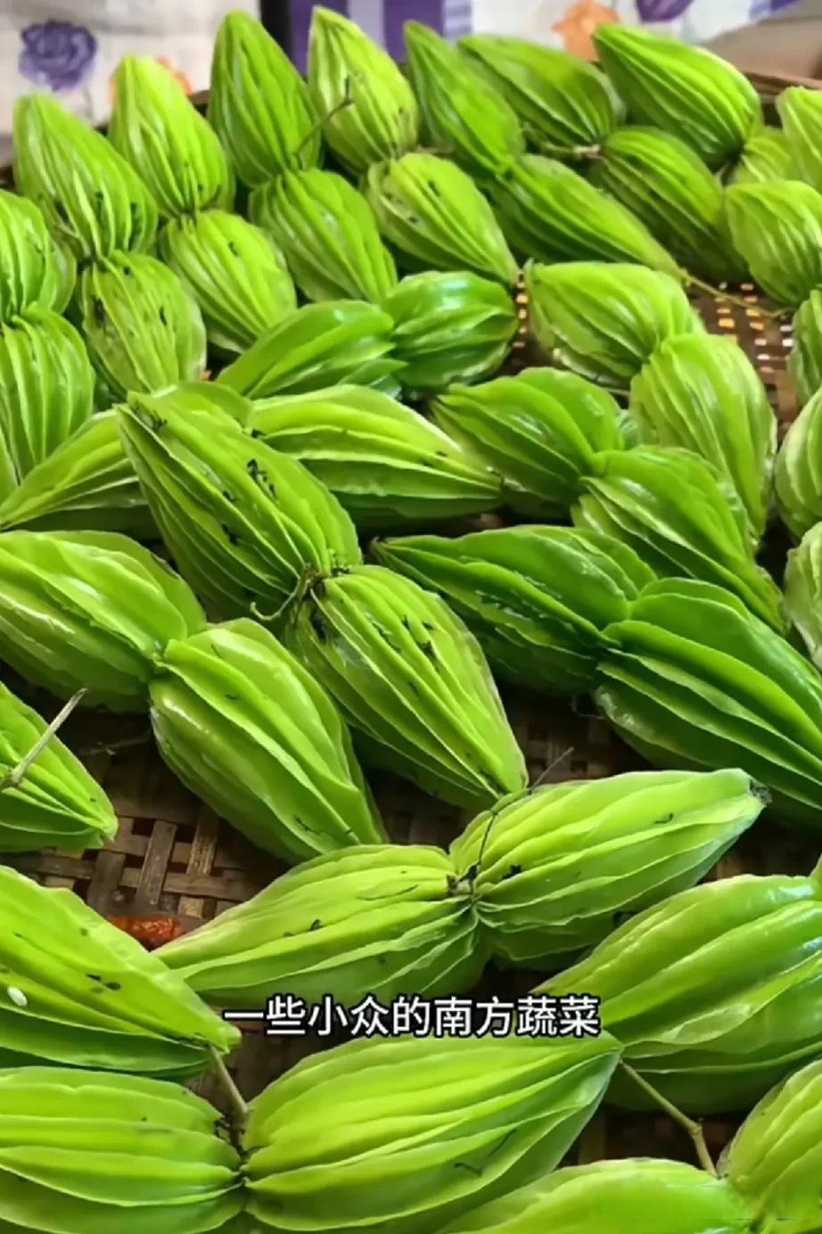不懂就問:反季節(jié)蔬菜可以吃嗎?_蔬菜