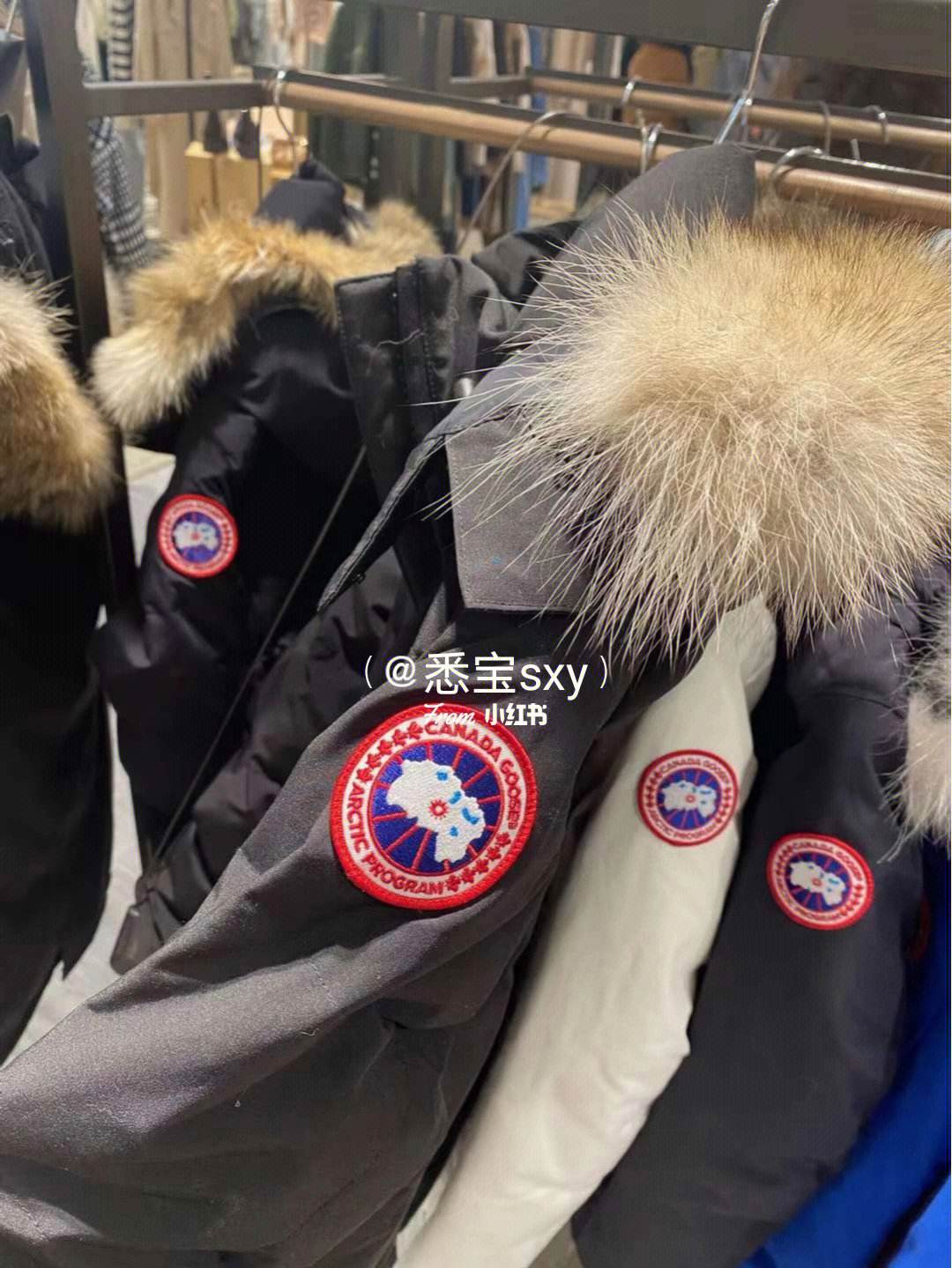 加拿大鵝羽絨服曬單&官方尺碼選擇指導(dǎo)