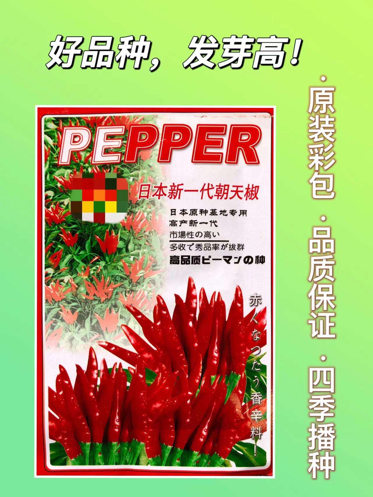 朝天椒和小米椒區(qū)別朝天椒怎么腌制好吃