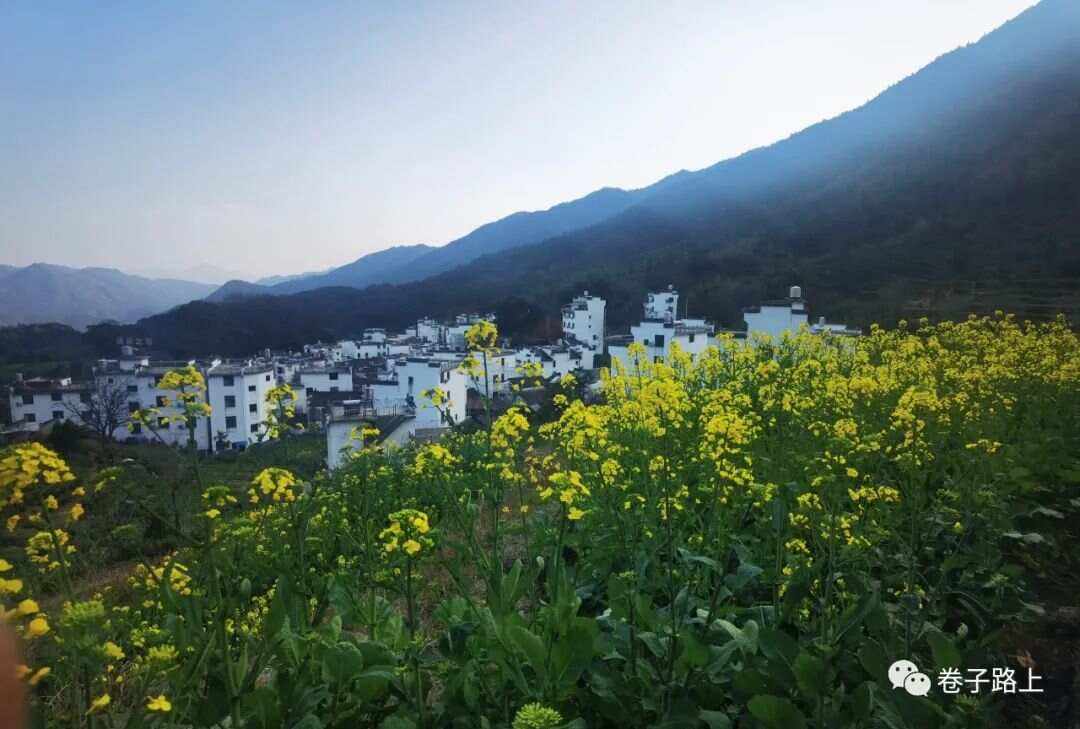 婺源三月,花路間的浪漫行旅_國(guó)內(nèi)度假