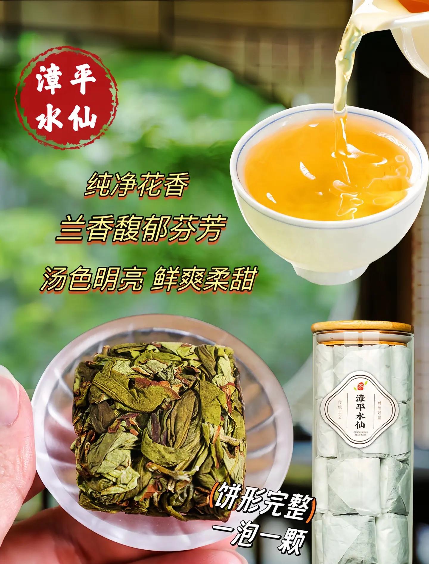 清香型漳平水仙教學(xué)茶;九鵬如蘭似桂
