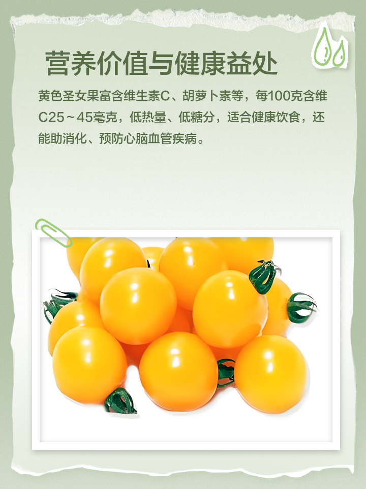 黃色的圣女果,顏值在線,送人很不錯(cuò)