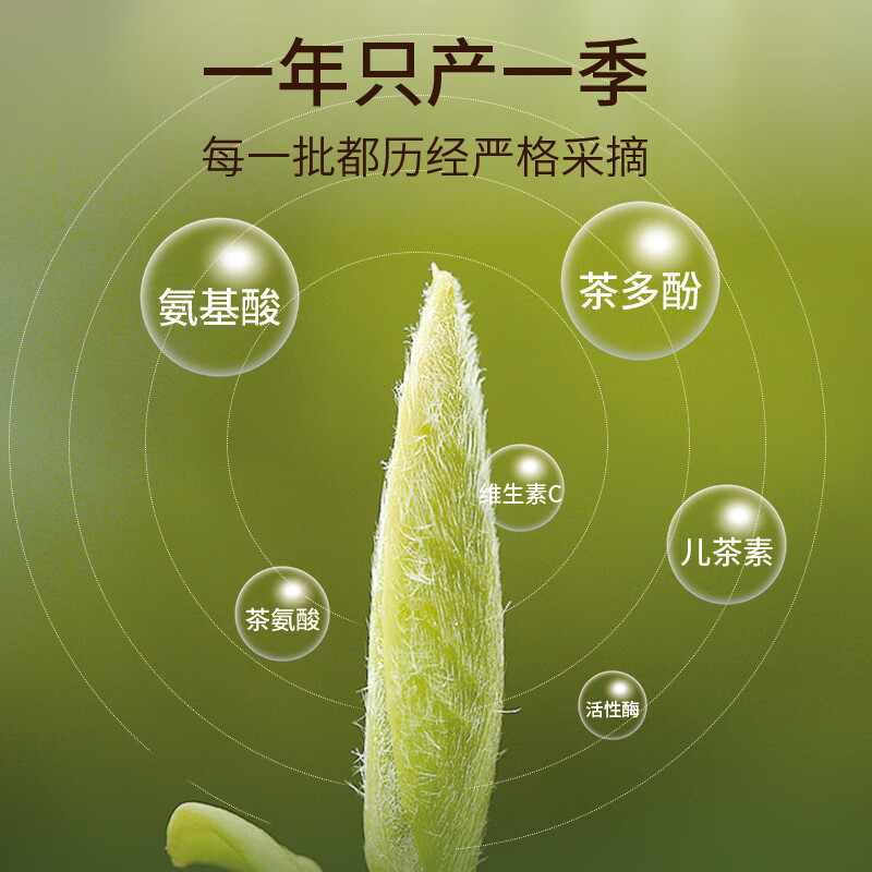 烏龍茶;輕火口糧_鳳凰單叢綠寶大烏葉