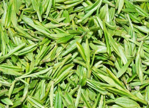 峨眉雪芽,讓品茶成為一種享受!_綠茶
