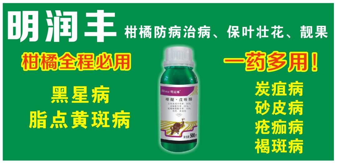 【紅蜘蛛軟件怎么用】紅蜘蛛軟件好不好_使用技巧