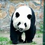 時(shí)間打磨的不只是精致,還有彪悍后攝—ZOL好說