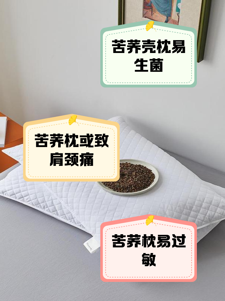 請(qǐng)問(wèn)下大家蕎麥枕頭會(huì)生蟲嗎