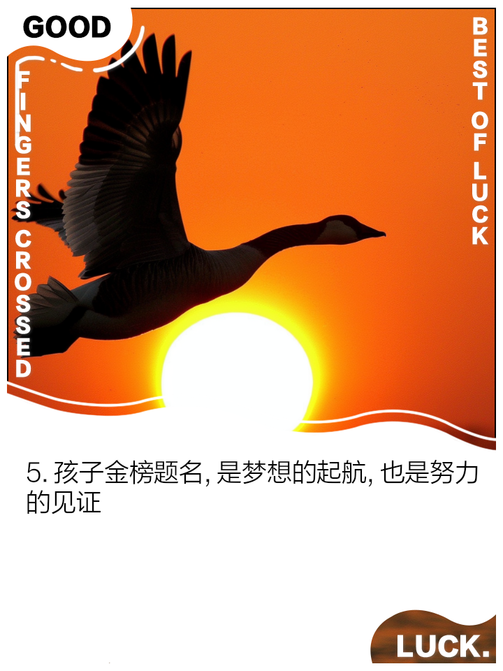 【光彩】的意思是什么?【光彩】是什么意思?