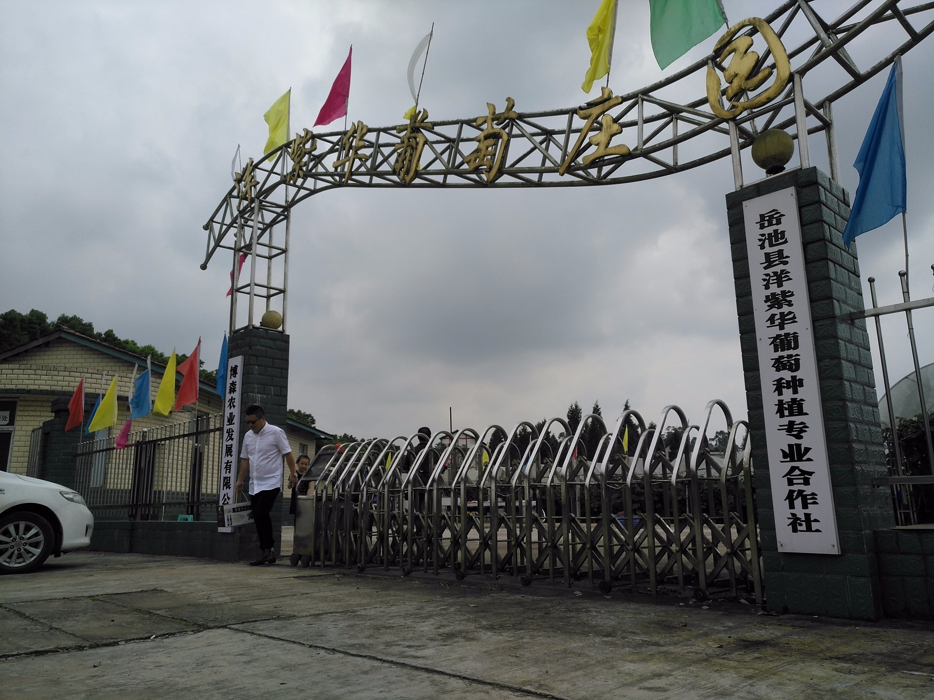 2025年6月4日 第28頁
