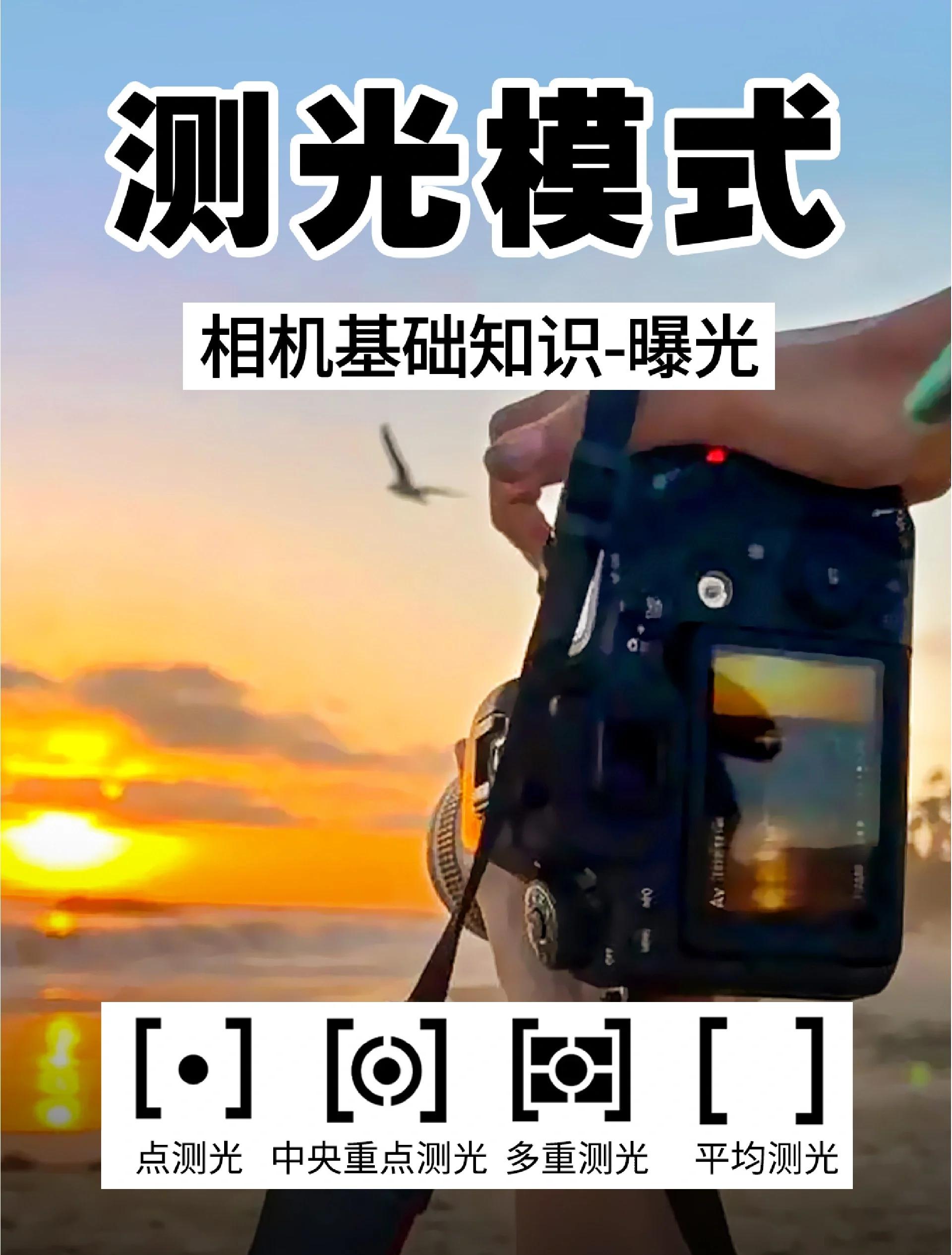 祁寄南