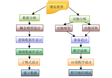 第五米琪