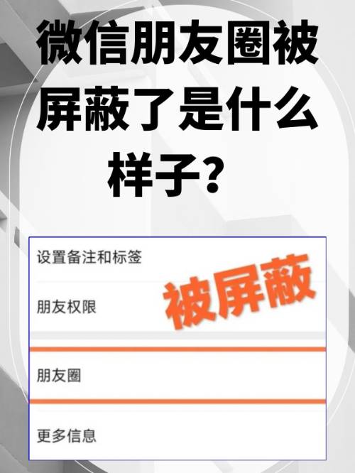 為什么微信沒有朋友圈??設置,通用里頭也沒有?