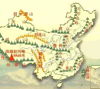 太叔娜娜