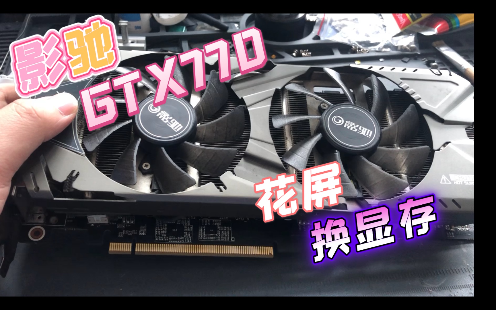邗初蝶