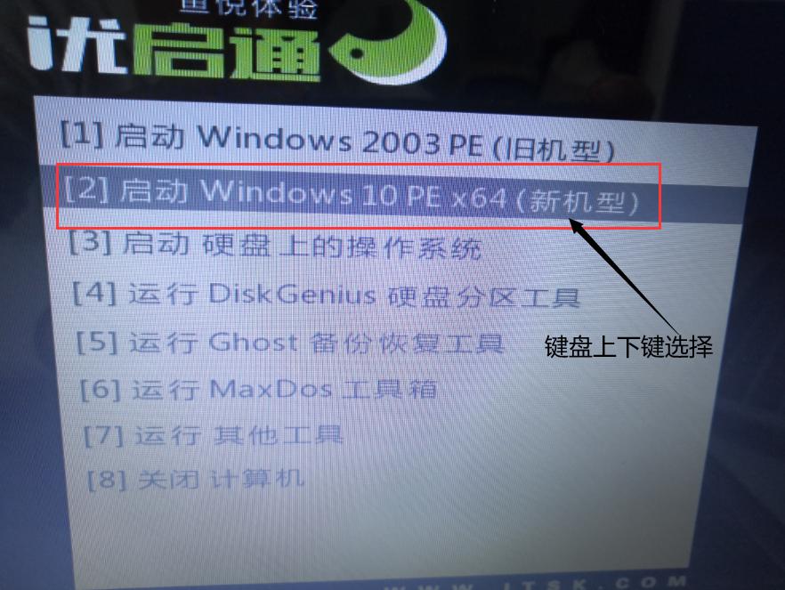 潮蕩