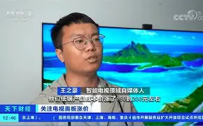 佩珀?duì)柣孟笫鞘裁垂?_平板電視_液晶電視新聞