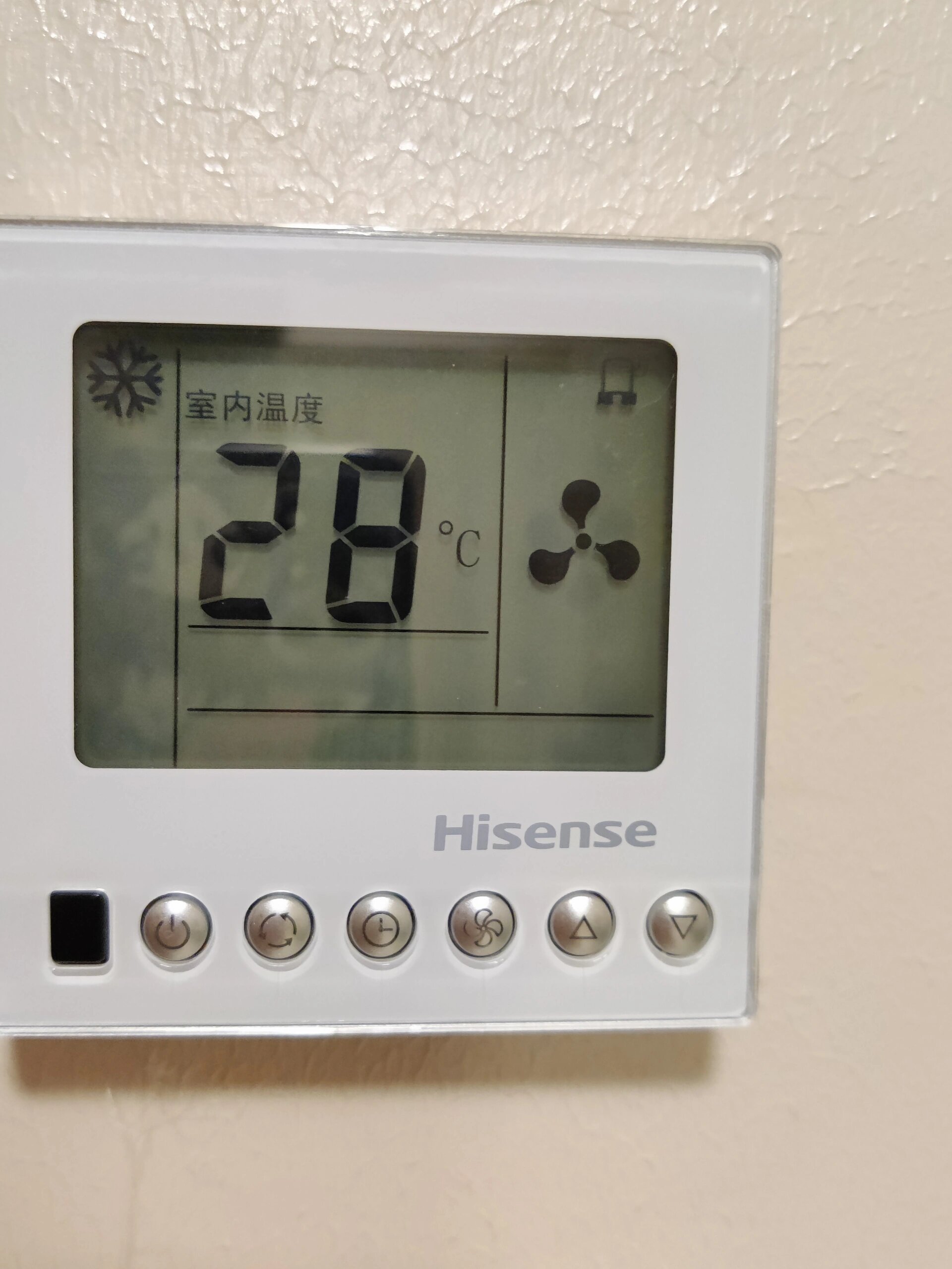素寄蕾