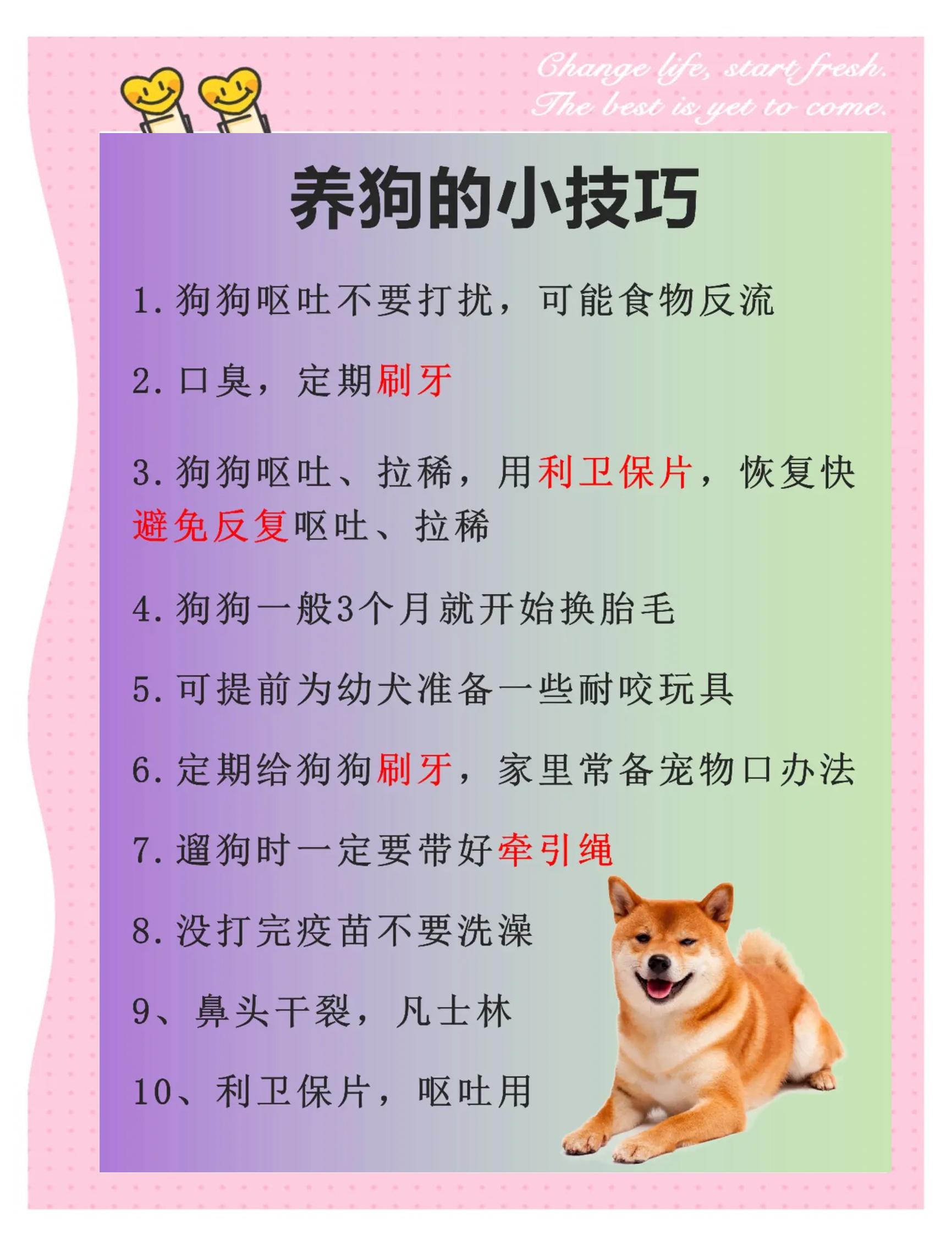 【燒狗刻錄怎么用】燒狗刻錄好不好_使用技巧