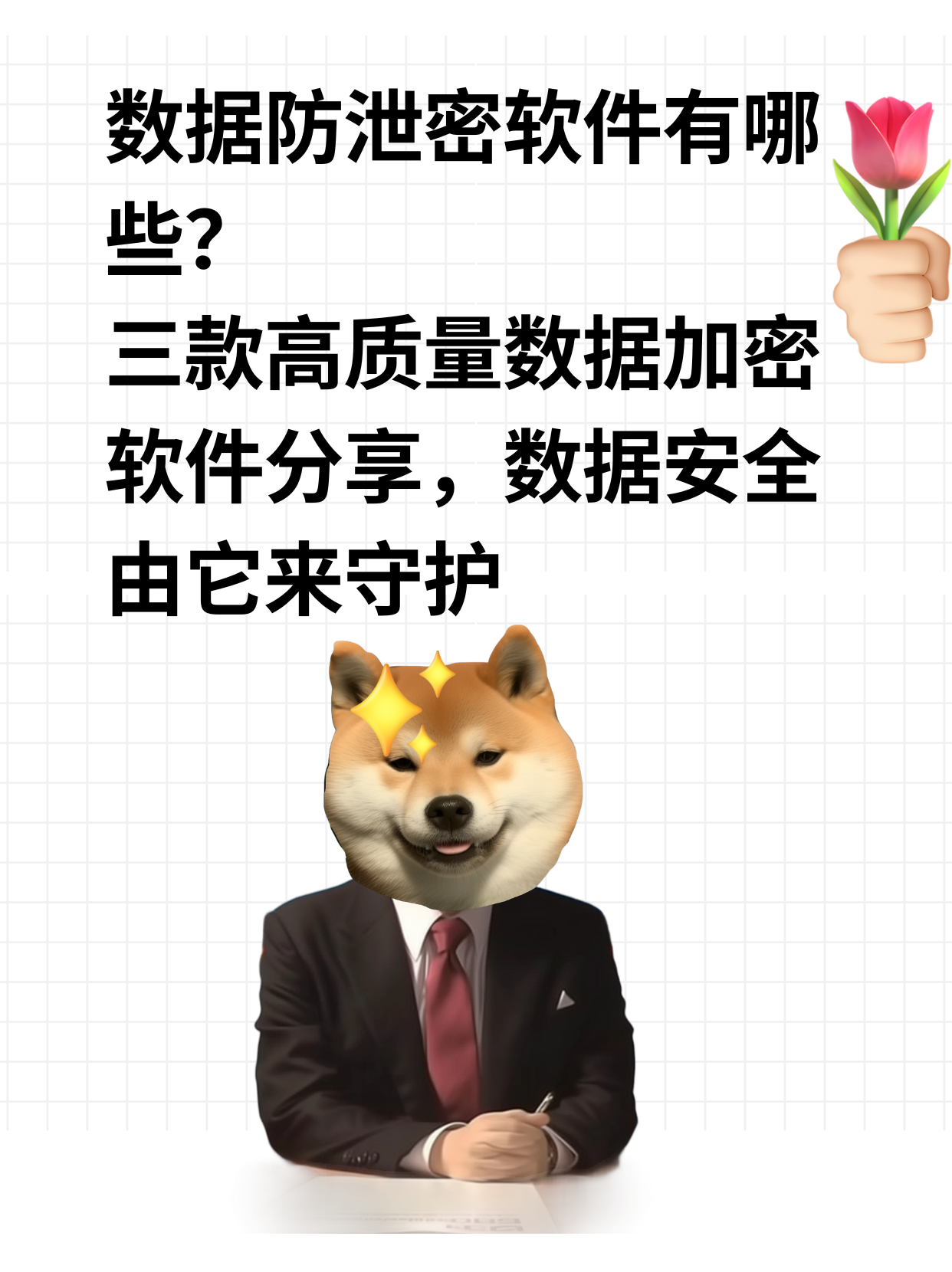 2024年十款必備的加密解密軟件:保護(hù)你的數(shù)據(jù)安全