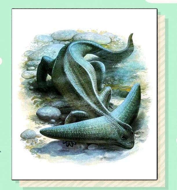 二疊紀(jì)雜食麝足獸,野外生活習(xí)性與合成難度探討?