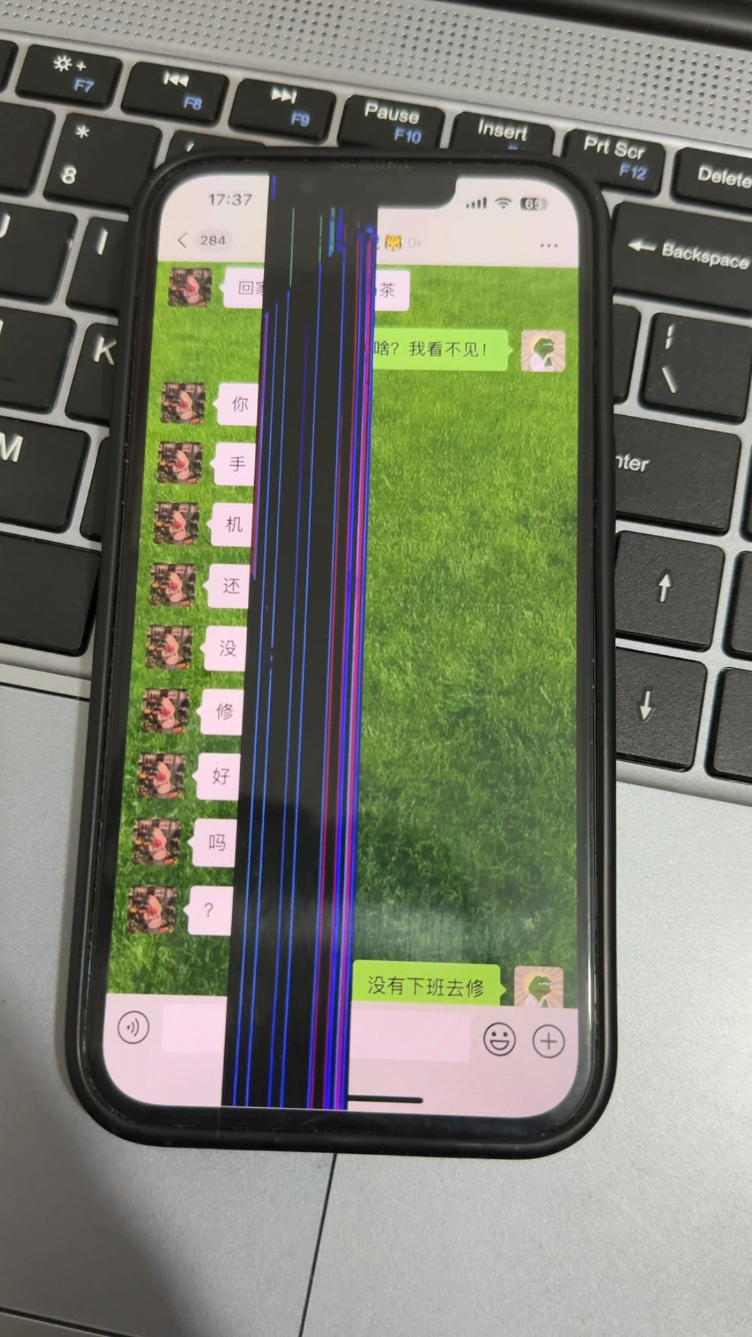 肇雅寧
