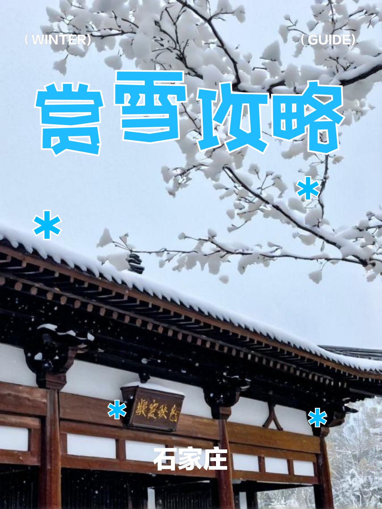 下雪了。石家莊下的雪。比京城的要大。攝影論壇
