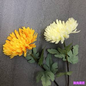 請(qǐng)問鑫字用白話,就是粵語腫么讀呢,還有雛菊的雛字
