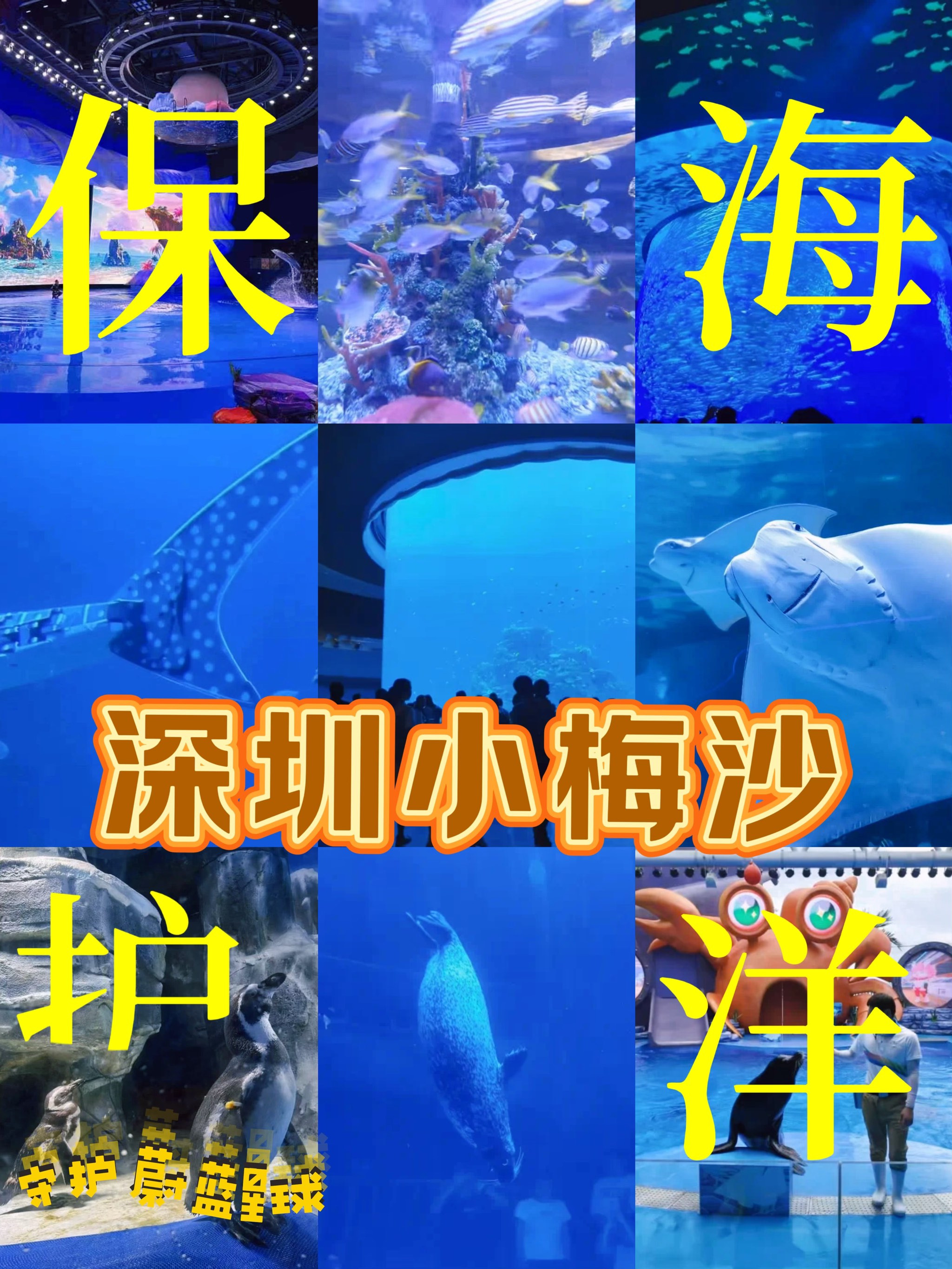 深圳的大梅沙、小梅沙要門票嗎?價(jià)錢一張呀?