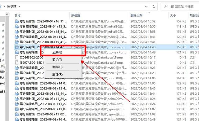 不小心從文件管理刪掉了照片怎么處理?還能恢復嗎?