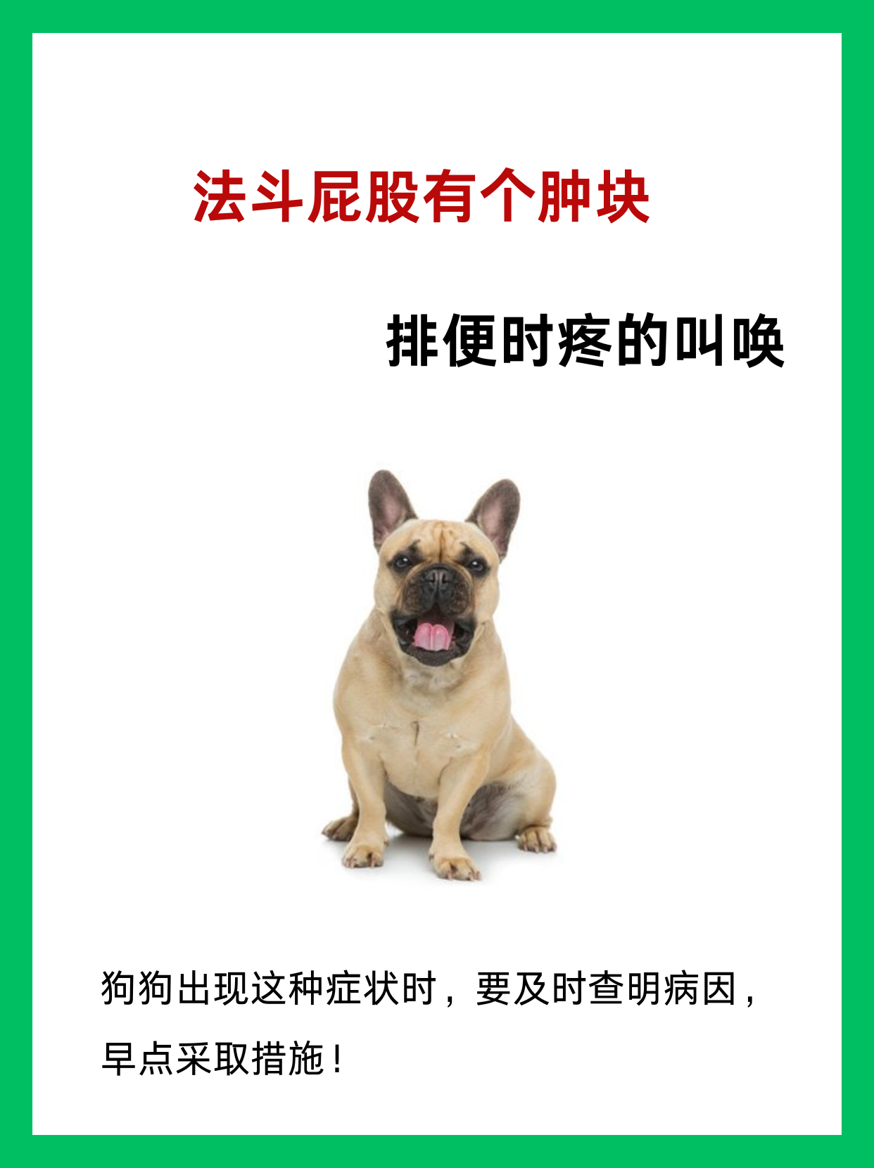 【高清圖】屁屁狗(ppgou)最新版下載使用教程圖1