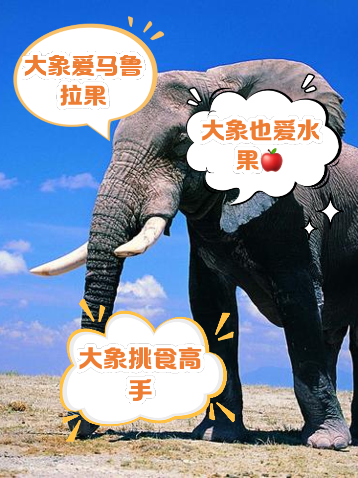 你知道一匹馬和一頭大象的體重各是多少千克嗎?